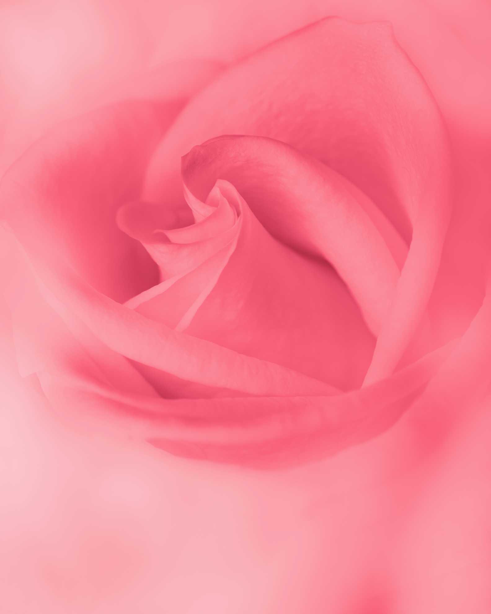 1000145601-1.jpg