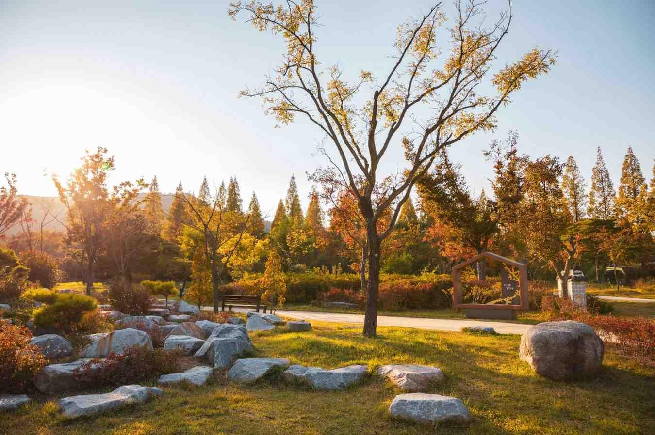 Gyeongbuk Millennium Forest